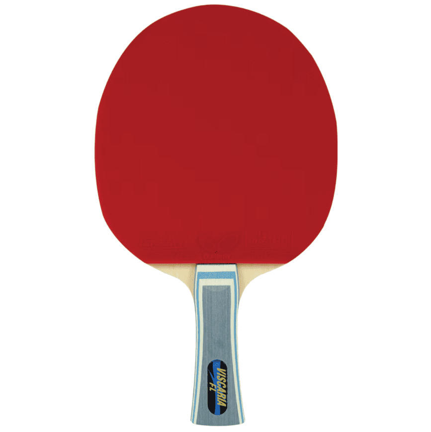 Butterfly Viscaria FL Pro-Line with Tenergy 05